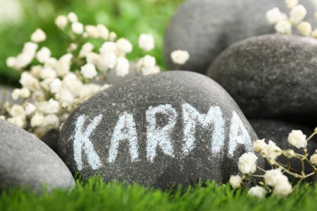 Foto de Stone with word Karma and beautiful flowers on green grass, closeup - Imagen libre de derechos