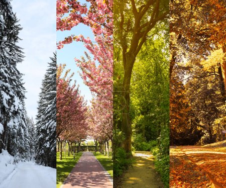 Foto de Four seasons. Collage design with beautiful photos of nature - Imagen libre de derechos