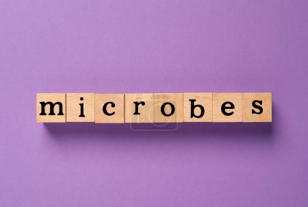Foto de Word Microbes made with wooden cubes on purple background, flat lay - Imagen libre de derechos