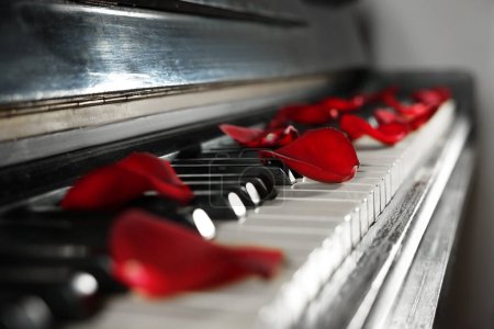 Foto de Muchos pétalos de rosa roja en las teclas de piano, primer plano - Imagen libre de derechos