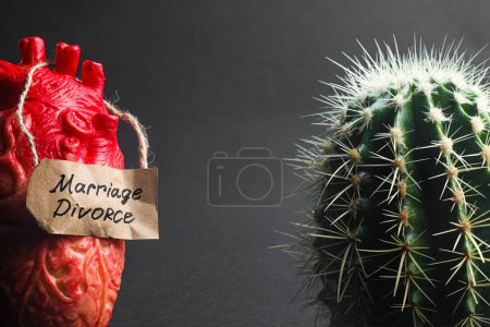 Téléchargez les photos : Modèle de coeur avec carte Mariage Divorce et cactus sur fond gris, gros plan. Espace pour le texte - en image libre de droit