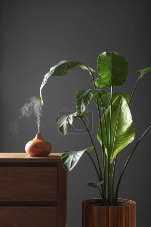 Foto de Air humidifier on chest of drawers near green houseplant against grey wall - Imagen libre de derechos