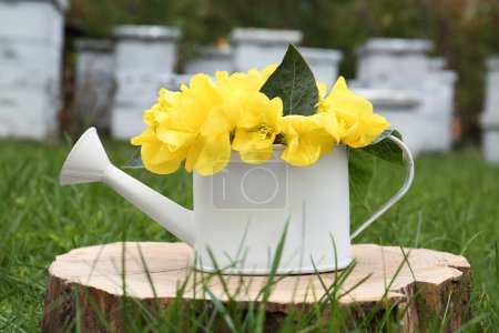 Photo for White watering can with beautiful yellow oenothera flowers on stump outdoors - Royalty Free Image