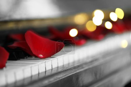 Foto de Many red rose petals on piano keys against blurred festive lights, closeup. Space for text - Imagen libre de derechos