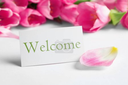 Téléchargez les photos : Welcome card and beautiful pink tulips on white table, closeup - en image libre de droit