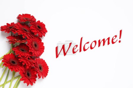 Téléchargez les photos : Carte de bienvenue. Belles fleurs de gerbera rouge et mot sur fond blanc, vue de dessus - en image libre de droit