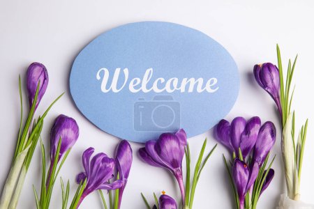 Téléchargez les photos : Welcome card and beautiful crocus flowers on white background, top view - en image libre de droit