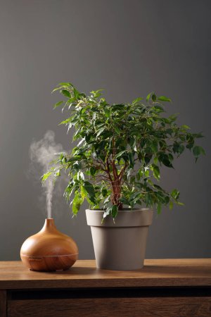 Foto de Air humidifier near houseplant on wooden table against grey wall - Imagen libre de derechos