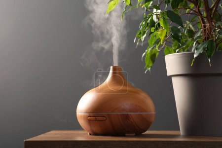 Foto de Air humidifier near houseplant on wooden table against grey wall. Space for text - Imagen libre de derechos
