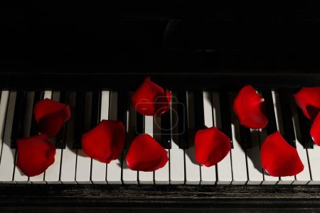 Foto de Muchos pétalos de rosa roja en teclas de piano, por encima de la vista - Imagen libre de derechos