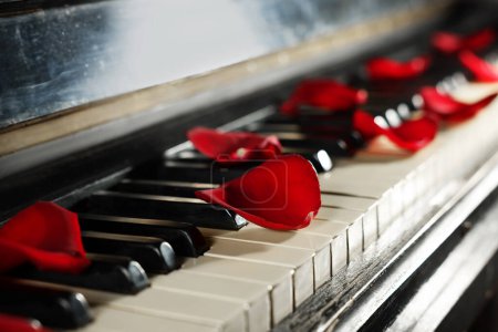 Foto de Muchos pétalos de rosa roja en las teclas de piano, primer plano. Espacio para texto - Imagen libre de derechos