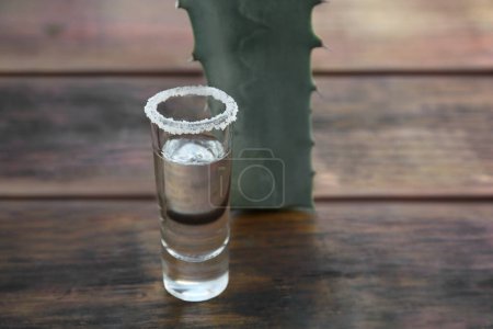 Foto de Mexican tequila shot with salt and green leaf on wooden table, closeup with space for text. Drink made of agava - Imagen libre de derechos