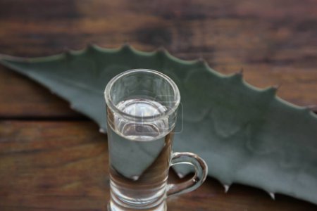 Foto de Mexican tequila shot and green leaf on wooden table, closeup. Drink made of agava - Imagen libre de derechos