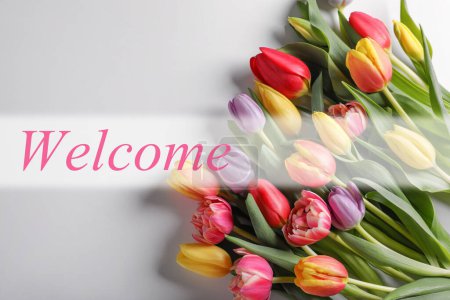 Téléchargez les photos : Welcome card. Beautiful tulip flowers and word on white background, top view - en image libre de droit