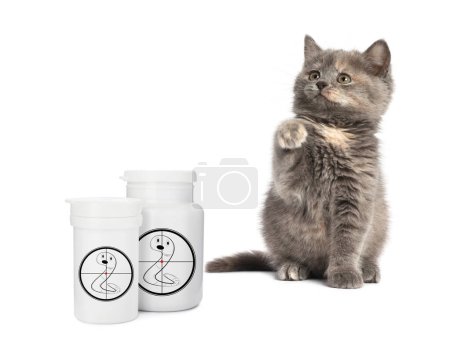 Desparasitación. Lindo gatito esponjoso y frascos médicos con medicamentos antihelmínticos sobre fondo blanco