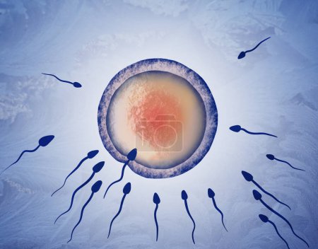Téléchargez les photos : Cryoconservation du matériel génétique. Cellules spermatiques et ovules sur fond bleu, effet gel - en image libre de droit
