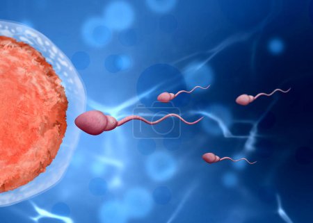 Foto de Proceso de fertilización. Células de esperma moviéndose al óvulo sobre fondo azul - Imagen libre de derechos