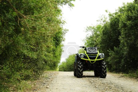 Photo for Modern quad bike on pathway near trees outdoors - Royalty Free Image