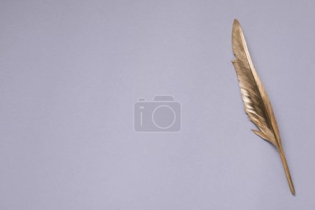 Photo for Golden feather on light blue background, top view. Space for text - Royalty Free Image