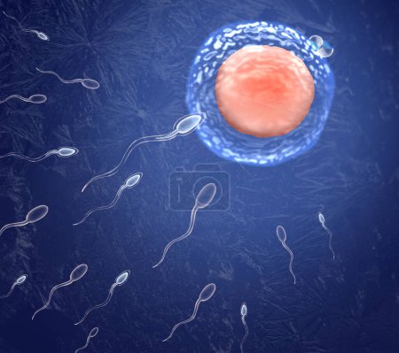 Kryokonservierung genetischen Materials. Spermien und Eizellen auf blauem Hintergrund, Frosteffekt