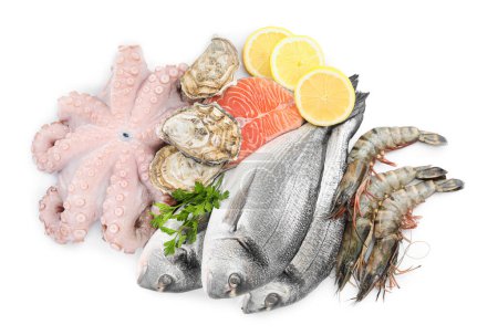 Photo for Fresh dorado fish, octopus, shrimps, oysters and salmon on white background, top view - Royalty Free Image