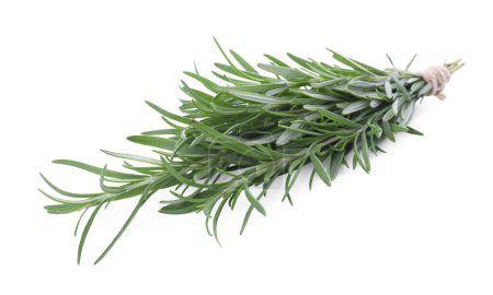 Photo for Fresh rosemary twigs tied with twine isolated on white - Royalty Free Image