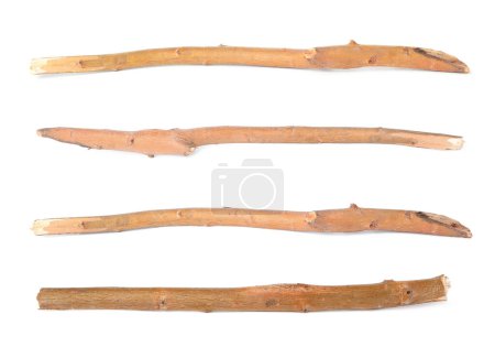 Photo for Collage with dry tree twigs on white background, top view - Royalty Free Image