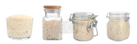 Collage with fresh leaven on white background