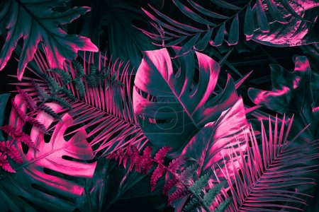 Photo for Tropical leaves in neon colors on black background - Royalty Free Image