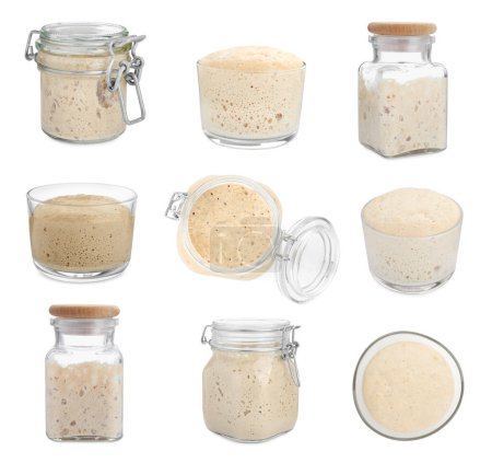 Photo for Collage with fresh leaven on white background - Royalty Free Image