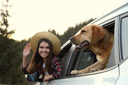 Photo for Adorable dog and happy woman looking out of car window in mountains. Traveling with pet - Royalty Free Image