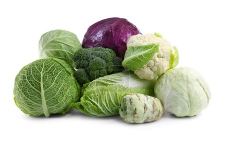 Many different fresh ripe cabbages on white background