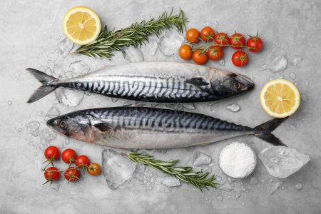 Photo for Raw mackerel, tomatoes and rosemary on light gray table, flat lay - Royalty Free Image