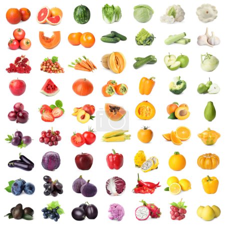 Foto de Surtido de frutas y verduras frescas sobre fondo blanco, diseño de collage - Imagen libre de derechos