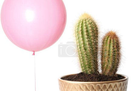 Photo for Pink balloon near cacti on white background - Royalty Free Image