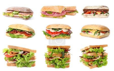Téléchargez les photos : Collage avec de délicieux sandwichs sur fond blanc - en image libre de droit