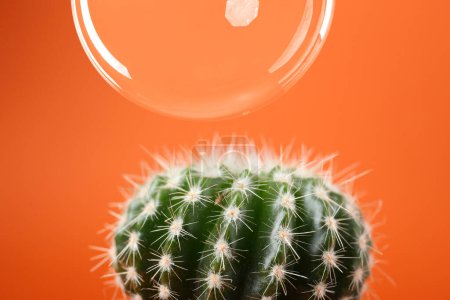 Photo for Soap bubble near cactus on orange background - Royalty Free Image