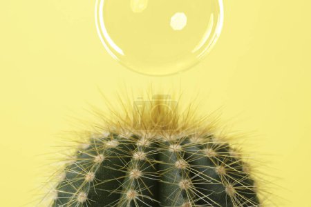 Photo for Soap bubble over cacti on yellow background - Royalty Free Image