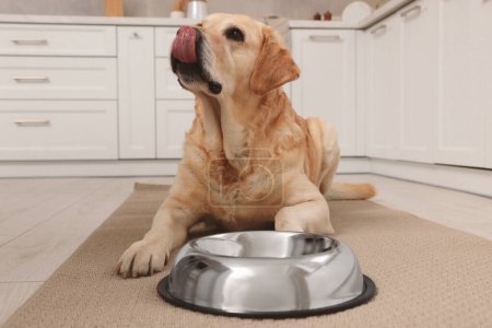 Cute Labrador Retriever attente près bol d'alimentation sur le sol dans la cuisine
