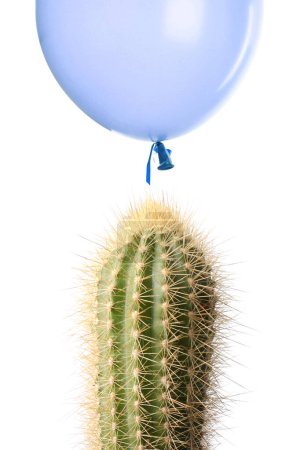 Photo for Light blue balloon over cactus on white background - Royalty Free Image