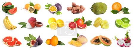 Foto de Collage con muchas frutas exóticas frescas sobre fondo blanco - Imagen libre de derechos