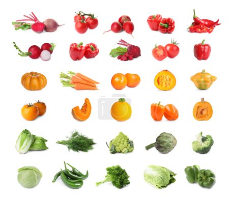 Collage with many fresh vegetables on white background