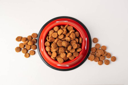 Dry dog food and feeding bowl on beige background, flat lay