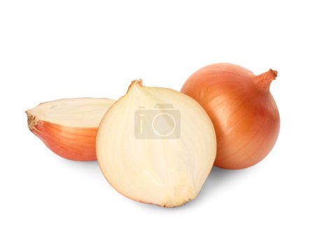 Foto de Whole and cut onions on white background - Imagen libre de derechos
