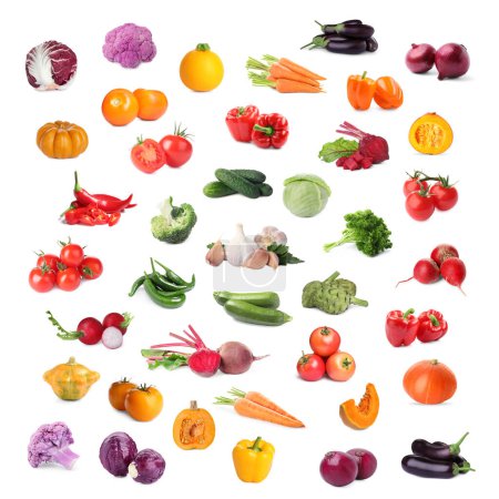 Foto de Collage con muchas verduras frescas sobre fondo blanco - Imagen libre de derechos