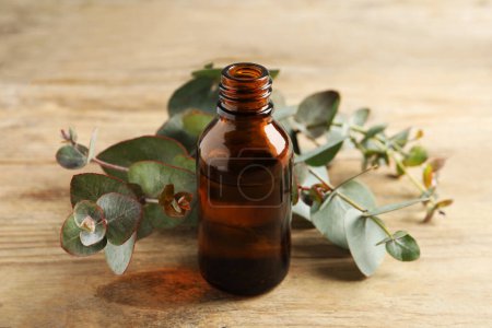Botella de aceite esencial de eucalipto y hojas sobre mesa de madera