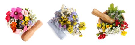 Téléchargez les photos : Ensemble de mortiers avec des fleurs sur fond blanc, vue de dessus - en image libre de droit