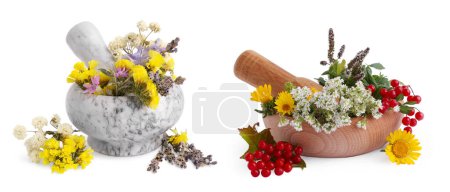 Téléchargez les photos : Deux mortiers avec des fleurs sur fond blanc - en image libre de droit
