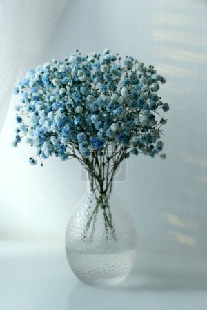 Foto de Hermosas flores de gypsophila teñidas en jarrón de vidrio sobre mesa blanca - Imagen libre de derechos
