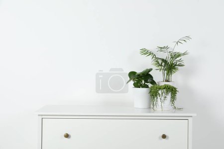 Foto de Hermosas plantas de interior en maceta verde en la cómoda blanca en el interior, espacio para el texto - Imagen libre de derechos
